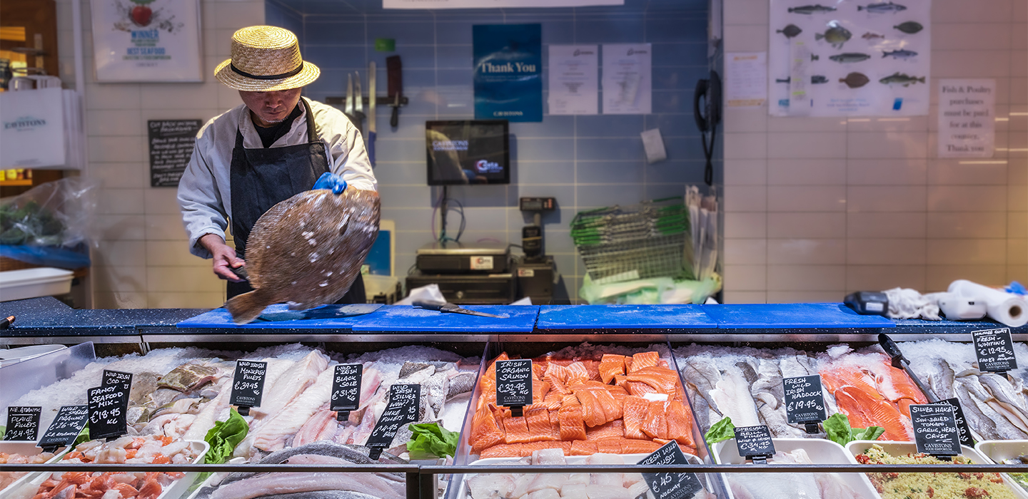 Fish Counter